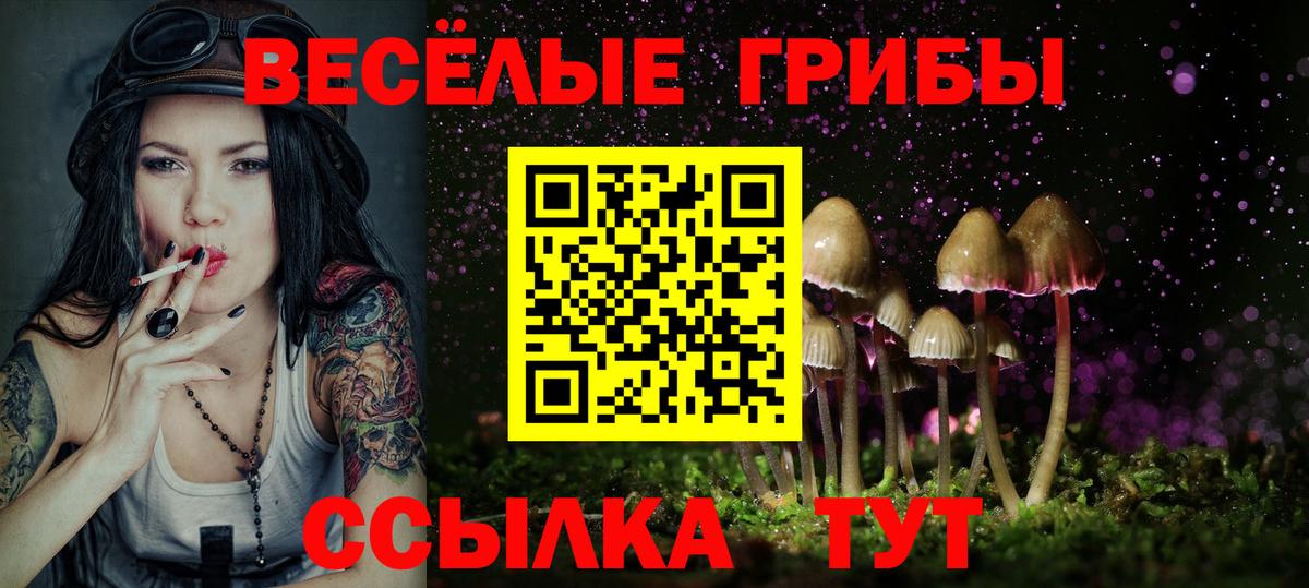 Псилоцибиновые грибы мухоморы  Псилоцибиновые грибы Psilocybe  Усолье-Сибирское  Вход с VPN 